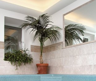gallery/36/archapl087-1426022016.7134-44405.jpg